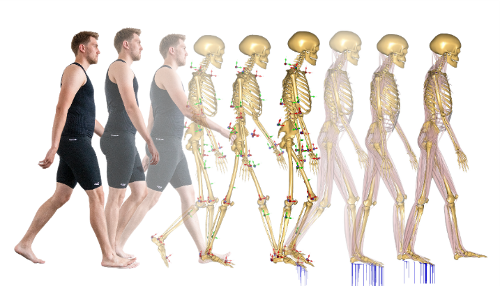 Biomechanische Simulation: Wirklichkeit vs. Simulation