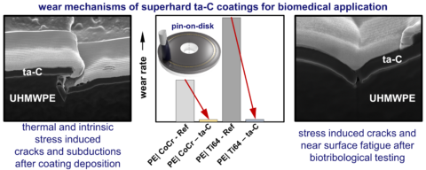 Zum Artikel "Verschleißmechanismus von superharten tetraedrischen amorphen Kohlenstoffschichten (ta-C) für biomedizinische Anwendungen"