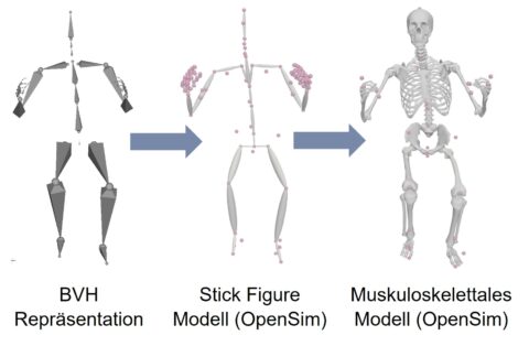 Zum Artikel "Methode zur Verwendung von IMU-basierten experimentellen Bewegungsdaten im BVH-Format für muskuloskelettale Simulationen über OpenSim"