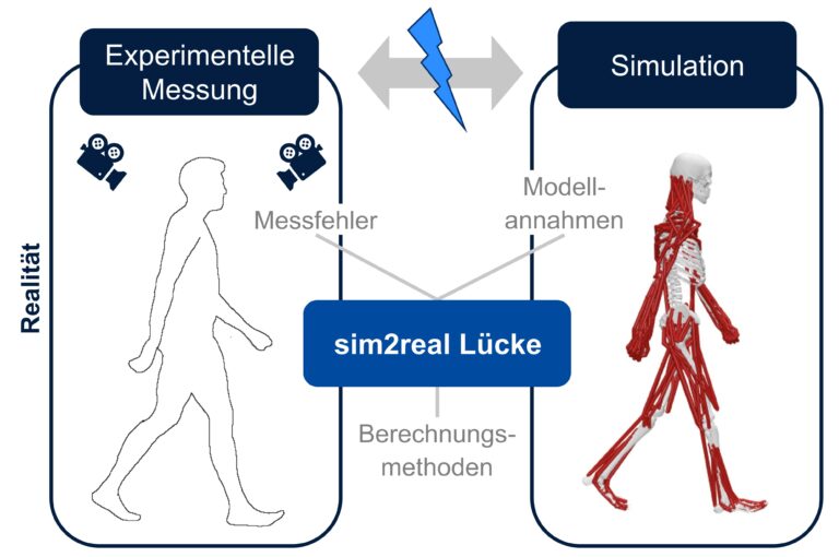 Untersuchung von Abweichungen zwischen experimentellen Bewegungsmessungen und muskuloskelettalen Simulationsergebnissen